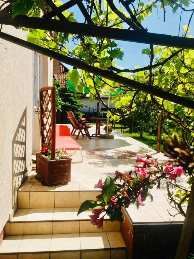 Domowe Zalesie Apartman Piaseczno  Kültér fotó